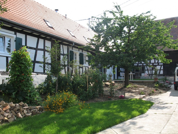 Rhabilitation de maisons Alsaciennes : Vue de la rue